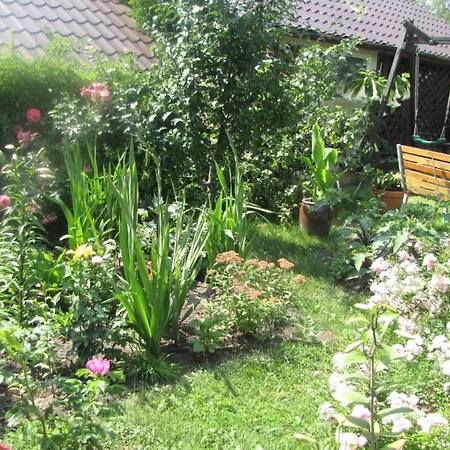 Apartman Apartament Sloneczna 3 *